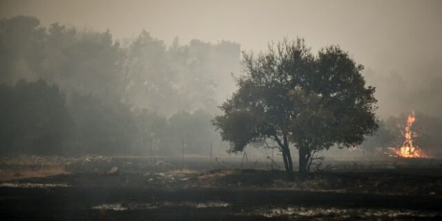 ΣΥΡΙΖΑ: Εξαφανισμένο επιτελικό κράτος στην μεγαλύτερη δασική καταστροφή