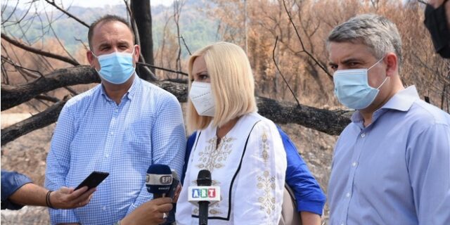 Γεννηματά από Γορτυνία: Οι ευθύνες είναι μεγάλες και επιτέλους πρέπει να αναληφθούν