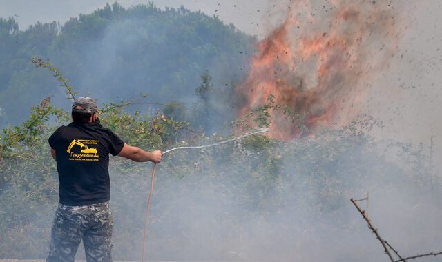 Φωτιά στην Ηλεία: Ολονύχτια μάχη με τις φλόγες – Ξεκίνησαν τα εναέρια