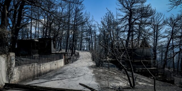 Φωτιές: Το σχέδιο 7 σημείων του ΣΥΡΙΖΑ