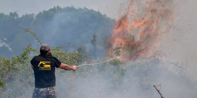 Φωτιές: Συνεχίζεται η μάχη με τις φλόγες σε Λακωνία, Μεσσηνία, Αρκαδία