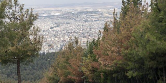 Δεν θα αλλάξουμε πολιτική, θα αλλάξουμε δέντρα