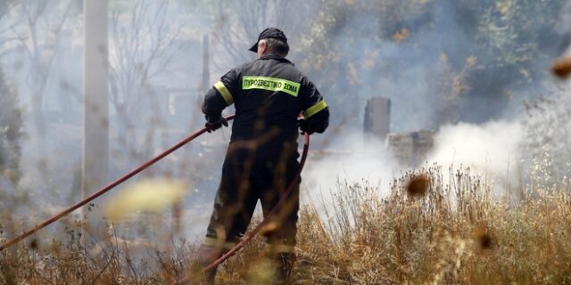 Θεσσαλονίκη: Εμπρησμούς στο Δήμο Θέρμης καταγγέλλει ο δήμαρχος, Θ. Παπαδόπουλος