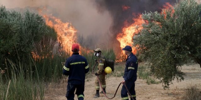 Πρόεδρος Πυροσβεστών: Δεν υπήρξε προπηλακισμός πυροσβεστών