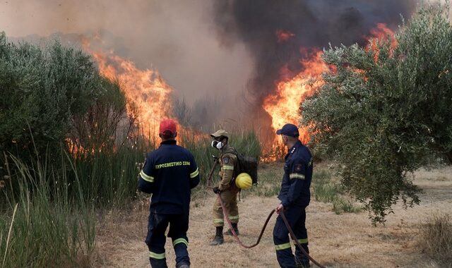 Πρόεδρος Πυροσβεστών: Δεν υπήρξε προπηλακισμός πυροσβεστών