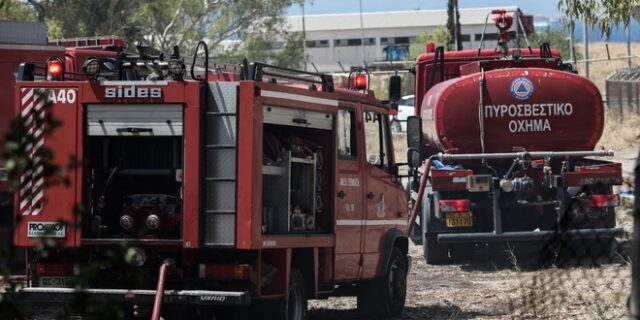 Ιωάννινα: Φωτιά κοντά σε πτηνοτροφικές μονάδες