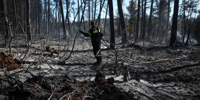 Φωτιές στην Αττική: Τραυματισμός πυροσβέστη στην Πάρνηθα