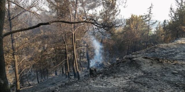 Ρόδος: Απαγόρευση της κυκλοφορίας στους δασικούς δρόμους Ρόδου, Κω και Καρπάθου