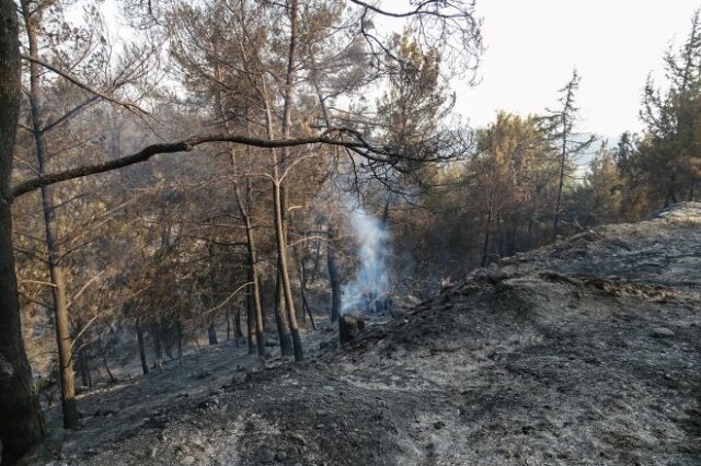 Ρόδος: Απαγόρευση της κυκλοφορίας στους δασικούς δρόμους Ρόδου, Κω και Καρπάθου