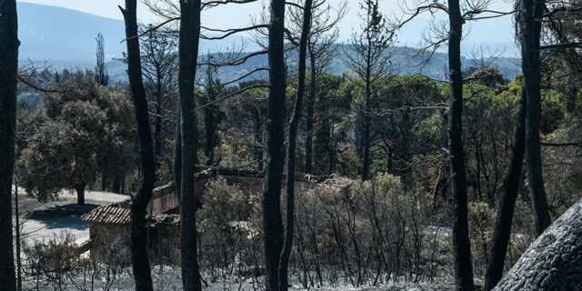 Τελικά, εκτός από το δάσος, τι άλλο κάηκε στο Τατόι;