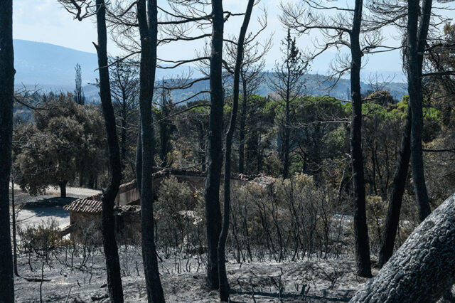 Τελικά, εκτός από το δάσος, τι άλλο κάηκε στο Τατόι;