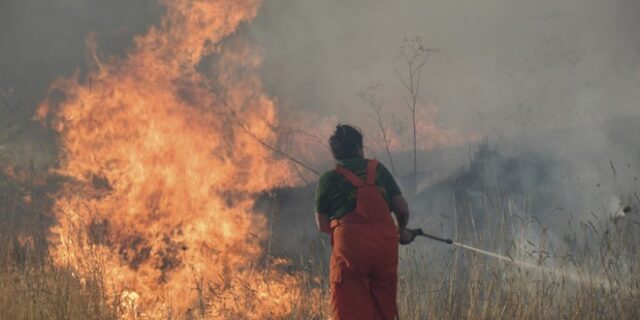 Ιταλία: Η ευρωπαϊκή χώρα που υπέστη τις μεγαλύτερες καταστροφές από τις δασικές πυρκαγιές