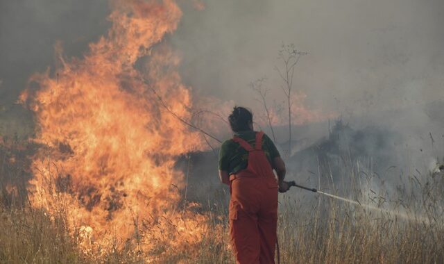 Ιταλία: Σύλληψη δύο αγροτών για τις φωτιές