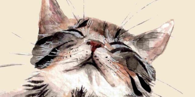 Πολύτιμα μαθήματα ζωής από έναν γάτο