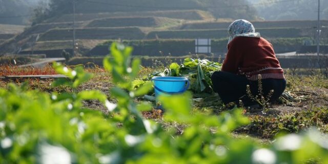 Ιταλία: Πέθανε σε ηλικία 112 ετών η γηραιότερη κάτοικος της χώρας – Είχε 58 εγγόνια και δισέγγονα