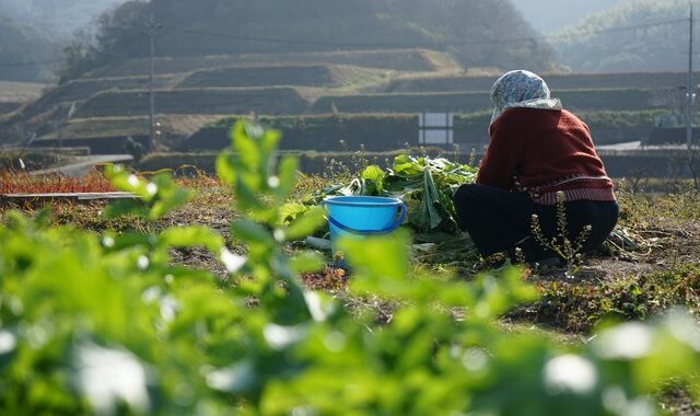 Ιταλία: Πέθανε σε ηλικία 112 ετών η γηραιότερη κάτοικος της χώρας – Είχε 58 εγγόνια και δισέγγονα