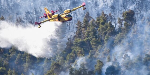 Φωτιά στα Βίλια: Για τρίτη ημέρα η μάχη με τις φλόγες – Στάχτη περίπου 50.000 στρέμματα δάσους