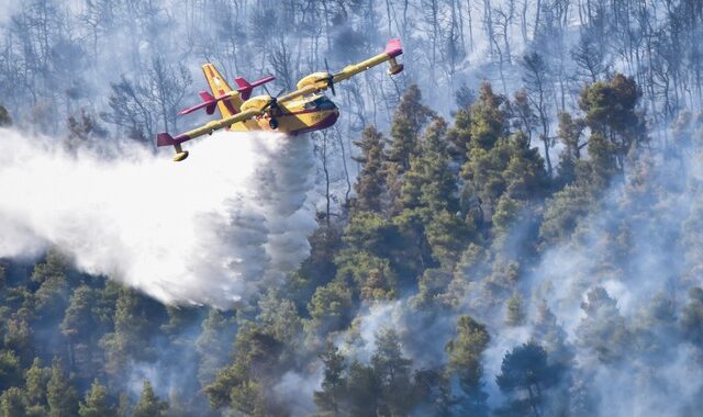 Φωτιά στα Βίλια: Για τρίτη ημέρα η μάχη με τις φλόγες – Στάχτη περίπου 50.000 στρέμματα δάσους