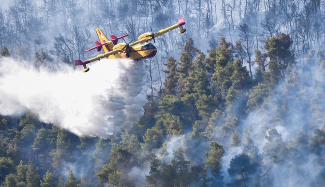 Φωτιά στα Βίλια: Για τρίτη ημέρα η μάχη με τις φλόγες – Στάχτη περίπου 50.000 στρέμματα δάσους