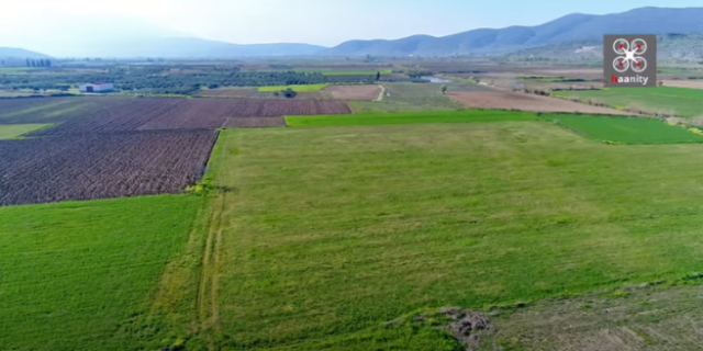 Ο Μέγας Αλεξάνδρος γίνεται κυρίαρχος της Ελλάδας: Το άγνωστο πεδίο της μάχης της Χαιρώνειας από ψηλά
