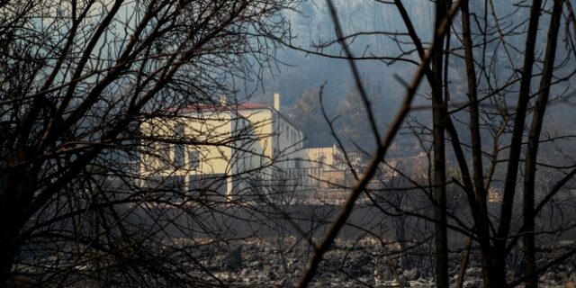 Φωτιά στα Βίλια: Στις φλόγες παραδόθηκαν σπίτια – Αναζωπύρωση στην Κάρυστο