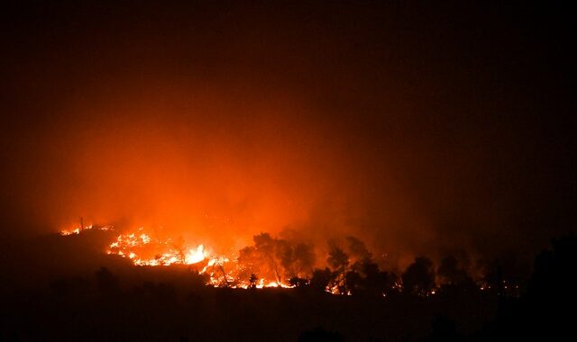 Απίστευτο βίντεο από τα Βίλια: Στρόβιλος φωτιάς εκτοξεύει κορμό δέντρου προς τους πυροσβέστες