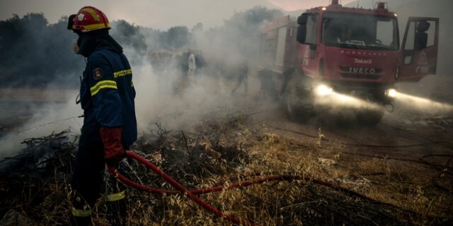 Φωτιά στα Βίλια: Σε ύφεση το μέτωπο – Ισχυρές πυροσβεστικές δυνάμεις στο σημείο