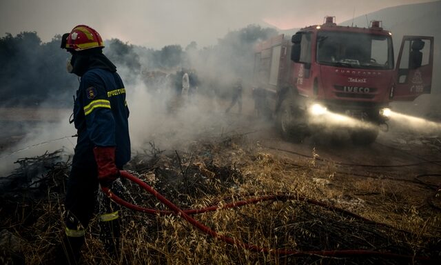 Φωτιά στα Βίλια: Σε ύφεση το μέτωπο – Ισχυρές πυροσβεστικές δυνάμεις στο σημείο