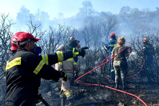 Άμεση αντιμετώπιση φωτιάς που ξέσπασε σε δασική έκταση στους Δελφούς