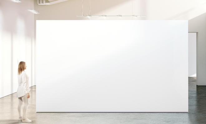 Ο Μαέβιους Παχατουρίδης υπάρχει στ’ αλήθεια – Καλλιτέχνης πήρε 84.000$ και παρέδωσε λευκό καμβά
