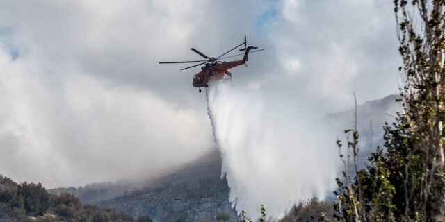 Φωτιά σε δασική έκταση στην Κω