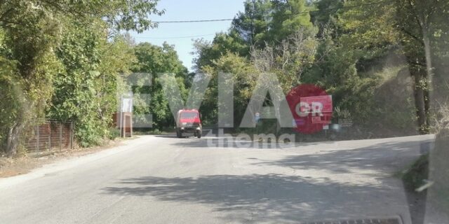 Εύβοια: Φωτιά στα Καμπιά Διρφύων Μεσσαπίων