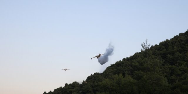 Φωτιά στον Άγιο Νικόλαο Αναβύσσου