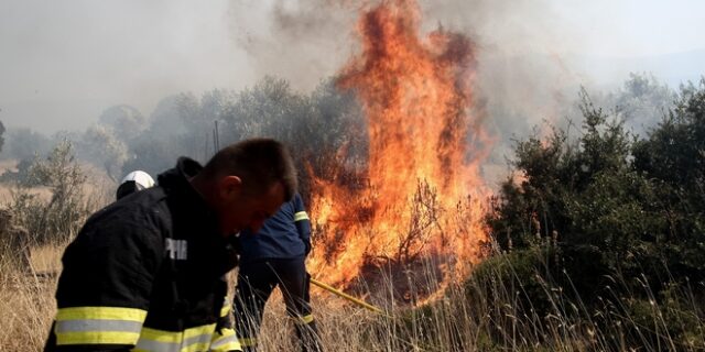 Φωτιά στον Ελαιώνα κοντά στη δομή μεταναστών