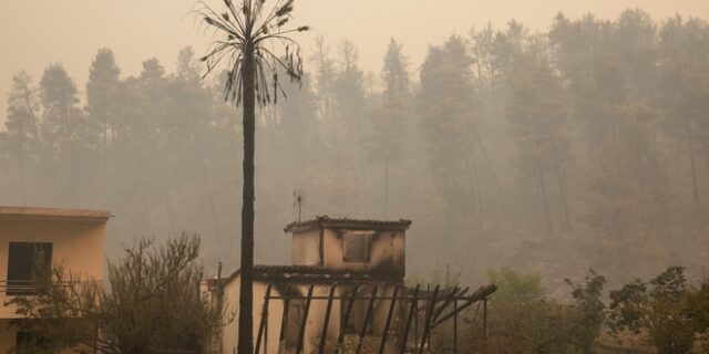 Υπ. Οικονομικών: Νέες πληρωμές σε 717 πυρόπληκτους
