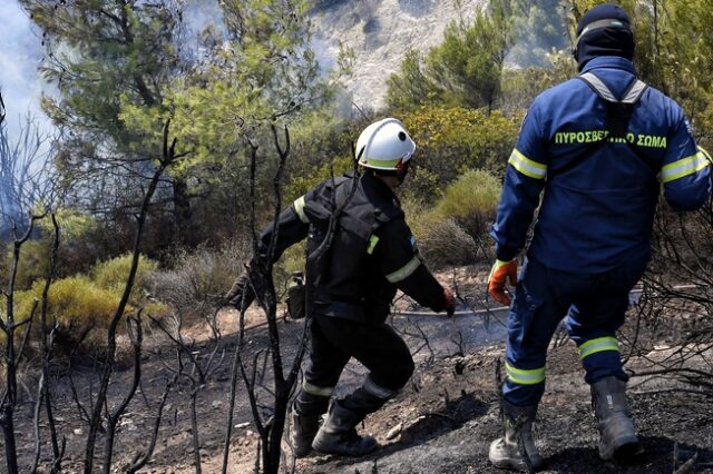 Φωτιά σε δασική έκταση στη Λαμία