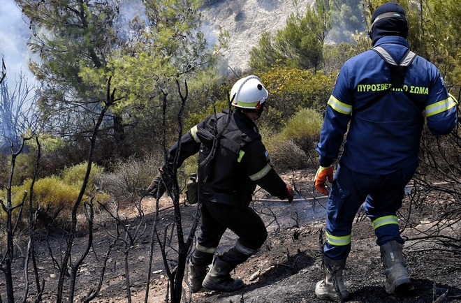 Φωτιά σε δασική έκταση στη Λαμία