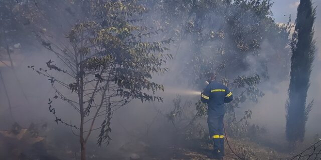 Άμεση επέμβαση της Πυροσβεστικής σε φωτιές στην Φυλή Αττικής και στην Κεντρική Εύβοια