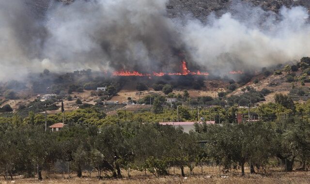 Πώς αποζημιώνονται οι αγρότες και οι πληγέντες από τις πρόσφατες πυρκαγιές – Τι λέει το ΦΕΚ