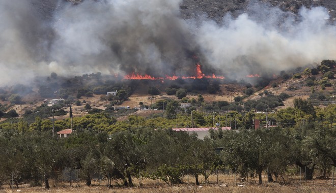 Πώς αποζημιώνονται οι αγρότες και οι πληγέντες από τις πρόσφατες πυρκαγιές – Τι λέει το ΦΕΚ