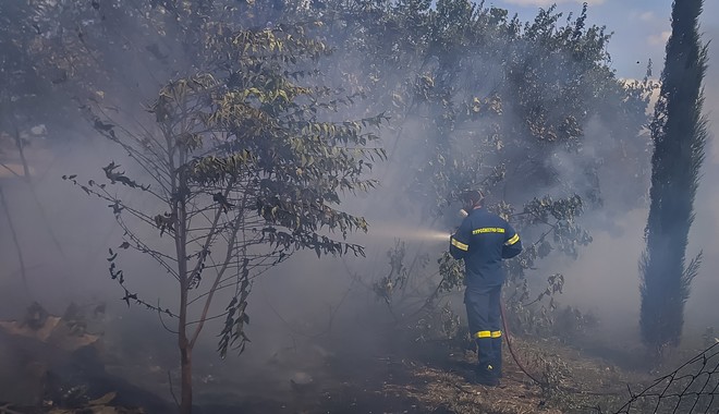 Άμεση επέμβαση της Πυροσβεστικής σε φωτιές στην Φυλή Αττικής και στην Κεντρική Εύβοια