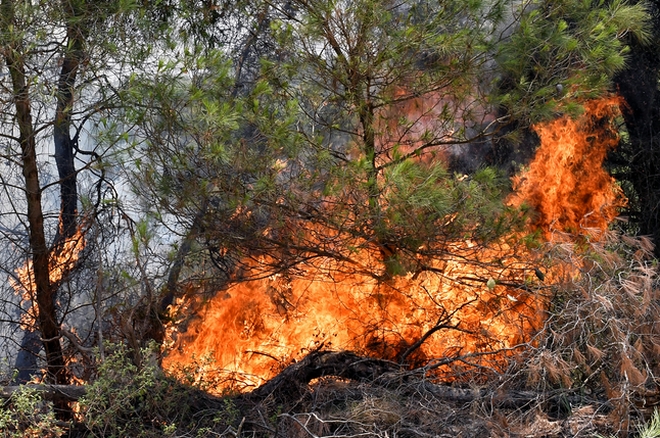 Νέα φωτιά στην Καστοριά – Οριοθετήθηκε στην Πάρνηθα