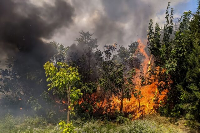 Μεγάλη φωτιά στην Μεγαλόπολη: Εκκενώνονται προληπτικά τα Καλύβια