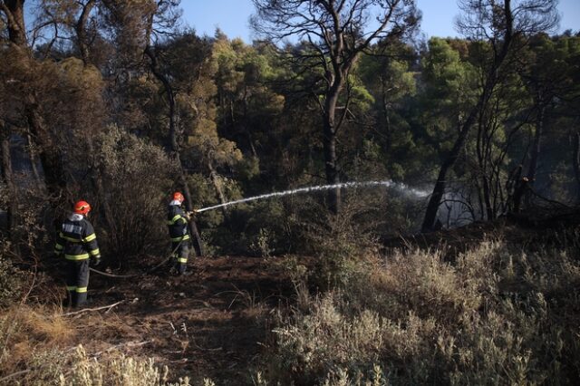 Ηλεία: Φωτιά στην περιοχή Άγναντα