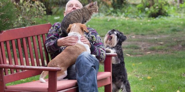 Ζώα συντροφιάς: Υποχρεωτική στείρωση ή αποστολή DNA