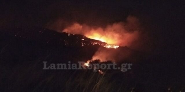 Φθιώτιδα: Υπό έλεγχο η πυρκαγιά στη Μενδενίτσα