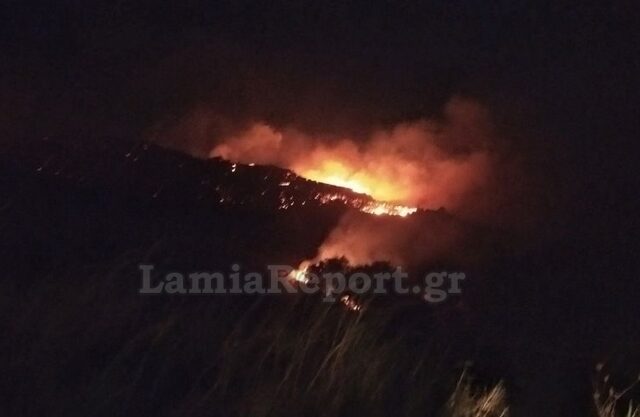 Φθιώτιδα: Υπό έλεγχο η πυρκαγιά στη Μενδενίτσα