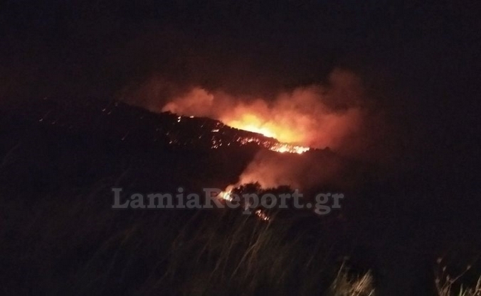 Φθιώτιδα: Υπό έλεγχο η πυρκαγιά στη Μενδενίτσα