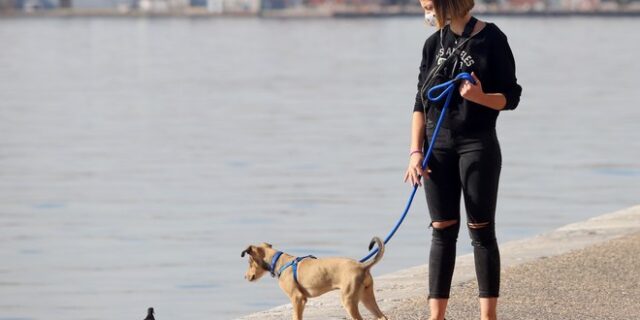 Κορονοϊός – Θεσσαλονίκη: Σε σταθερό επίπεδο το ιικό φορτίο των λυμάτων