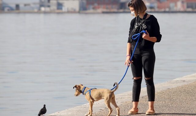 Κορονοϊός – Θεσσαλονίκη: Σε σταθερό επίπεδο το ιικό φορτίο των λυμάτων